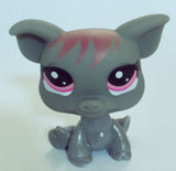 lps toy pet shop mini small animal pet doll Cute Cat Dog Lizard Animals doll pokemo elves pvc You can choose the style