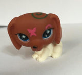 lps toy pet shop mini small animal pet doll Cute Cat Dog Lizard Animals doll pokemo elves pvc You can choose the style